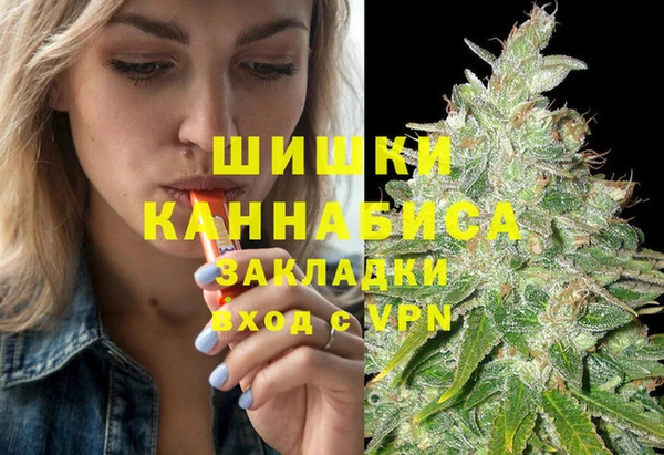 PSILOCYBIN Бронницы