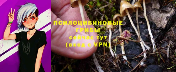 марки nbome Бородино