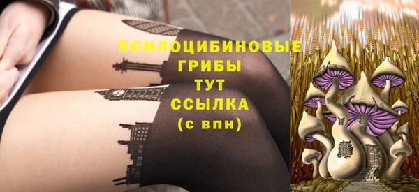 mix Богородицк