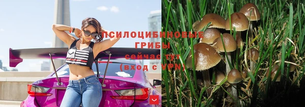 mix Богданович