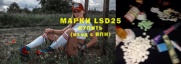 mix Богородицк