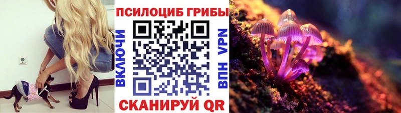 Купить закладки  Болгар  Псилоцибиновые грибы GOLDEN TEACHER 